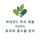 장기비타민약국 | 비타민C 약국 제품 TOP5, 효과와 흡수율 정리