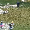 미산애견 이미지