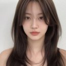 비안이즈 대전둔산트랜드점
