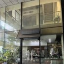 목동 꽃집 줄플라워가든 선물용 화분으로 수박페페 구매