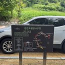 시장길 | 진안 부귀 메타세콰이어길 다이소 진안고원시장 방문 후기 (진안 시내관광)