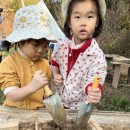 나무와 숲 어린이집 | 우리들 자연학교 11월 7일 나무와 새 어린이집 수업 후기