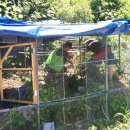 신갈푸른학교 이미지