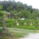 통나무민박6 이미지