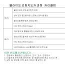 웰라이프 코칭 이미지