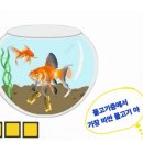 오뎅 열 개가 만든 인연 이미지