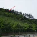 (주)디엔피코리아