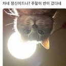 무주글램핑 이미지