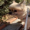 신월동003 이미지