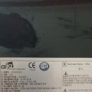 이천태권도체육관 이미지