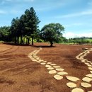 초롱목장 이미지