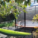 귤과나무 협동조합 이미지