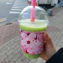 2월 ::: 개강하기 전 마지막 일상 ☹