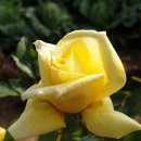 추억여행 이미지