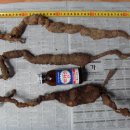 월영동017 이미지