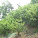 덕목보건진료소 이미지