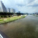 중랑천 제5체육공원 이미지