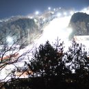 베어스타운리조트 이미지