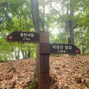 샘물숲어린이집 | 용인 석성산 왕복 등산 코스 / 주차할 곳 / 왕복 후기 / 준비물 _ 한 여름의 장마 중 도전.. 여름이었다...