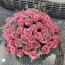 성주 별고을 관광온천 이미지