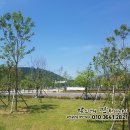 세영리첼세탁소 이미지