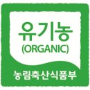 낙원동길 이미지