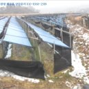 세평보건진료소 이미지