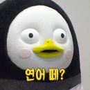 황금동태(여월점) 이미지