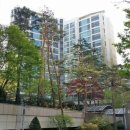 화평치과의원 이미지