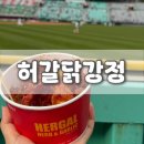 [허갈닭강정] SSG 랜더스필드 닭강정 맛집 메뉴 및...내돈내산 랜더스필드 먹거리 추천 및 솔직후기!
