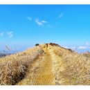 수룡모텔 이미지