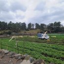 이삭민박 이미지