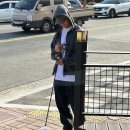 펫부자
