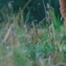 현동한의원 이미지