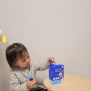 포헬라 이미지