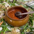 (주)시네마타운 네이버블로그