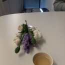 (1:1레슨)테라피 요가(60분) | [요가] 2026.02.12 대구 온무브 요가 그룹레슨 후기