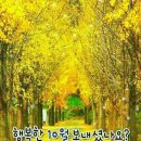 시월 이미지