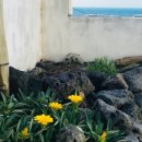 눈큰새우게스트하우스 이미지