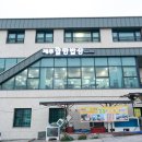 참맛있는밥상 | 제주도 한경면 맛집 방문후기 제주 고등어회 할망밥상