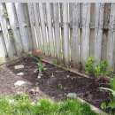 태이 카카오 검색결과