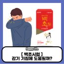 백초약국 | 백초시럽 약국 가격과 감기 기침에 도움될까?