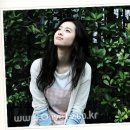 올리브스토리 이미지