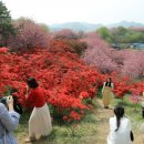 완산-21 동아일보