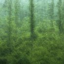 백두대간로 이미지