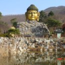 와우정사 이미지