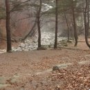 산여울캠핑장 이미지