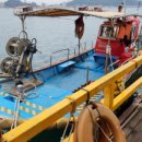 해맞이좌대낚시터 이미지