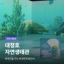 환경생태관 | 대청호자연생태관 | 대전 아이랑 가볼만한 곳 무료 전시 후기