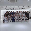 합기도 주짓수 블루드래곤 이미지